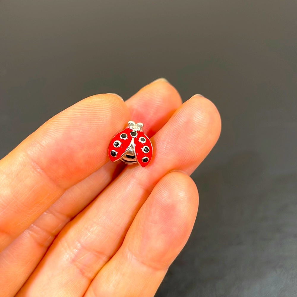 Pandora Bracelet Charms